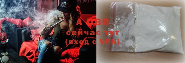 стаф Надым