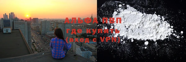 стаф Надым