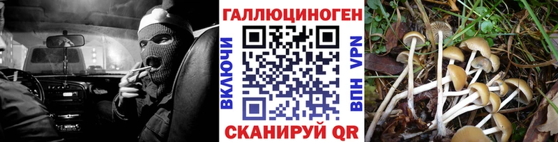 купить наркотики сайты  Екатеринбург  Галлюциногенные грибы ЛСД 